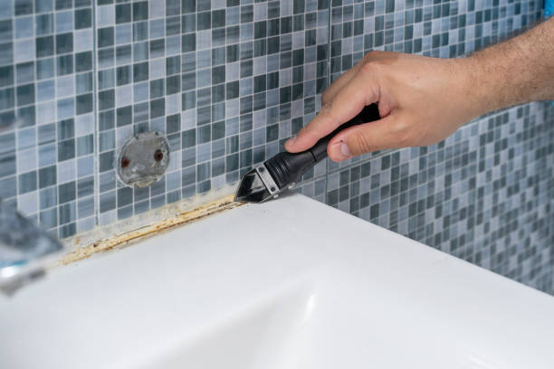 Best Commercial Mold Remediation in North Falmouth, MA